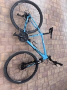 GIANT ROAM + GAZZELE