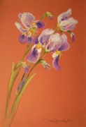 KWIATY - IRYSY pastel olejny 48x33cm