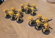 Space Marine Heavy Intercessors x15 Imperial Fists Pomalowane