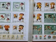 GIGANT zestaw znaczków tematyczny - FLORA-GRZYBY stan** + klaser 60 stron