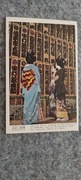 J1077c - Japonia - Geisha girls looking up the acter-list of Kabuki...