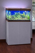 Akwarium 200l, szafka OPTI, bogaty zestaw akcesoriów