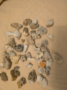 Skamieniałości Pustynia Błedowska, skamieliny, jura, kolekcje