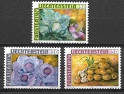 Flora warzywa  904 - 6 **