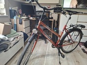 rower damka, koła 26"