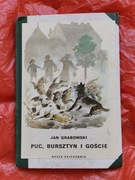 Książka dziecięca Puc Bursztyn i goście 1985rok