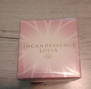 Incandessence Lotus 