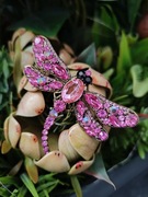 Broszka brosza przypinka ozdoba dekoracja ważka motyl owad kryształki 