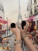 Szpic miniaturowy Apollo Armani