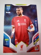 Panini Fifa 365 2026 core Cody Gakpo Liv17 Liverpool 