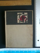 NAJEŹDŹCY – Jan Dobraczyński