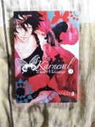 Karneval, Tom 2, Touya Mikanagi