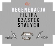 REGENERACJA CZYSZCZENIE FILTTA DPF / KATALIZATORA