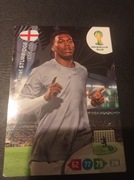 WORLD CUP 2014 STURRIDGE 141