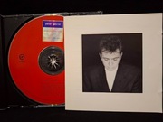 Peter Gabriel – Shaking The Tree: Sixteen Golden Greats CD