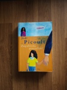 Zagubiona przeszłość – Jodi Picoult | poruszająca powieść obyczajowa