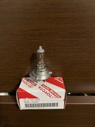 Żarówka halogen H7 55W Toyota i inne