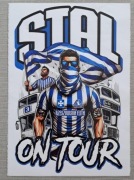 Vlepki STAL Rzeszów, CRACOVIA, Arka Gdynia, Lech, KSZO, Gryf Wej  # 21