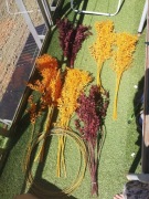 Rośliny ruskus stabilizowany 6 bukietów i 10 obręczy 