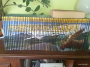 Przystanek Alaska dvd