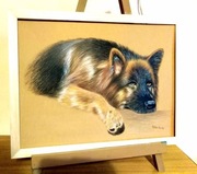 Portret TWOJEGO- PSA KOTA ręcznie  ze zdjęcia  A3 york labrador obraz