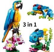 Papuga creator 3 in 1