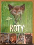 Koty Album o kotach
