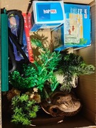 akcesoria do akwarium dekoracje,napowietrzacz,filtr,kotnik