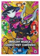 Karta LEGO Ninjago S8 nr 139 Władca i Czarownik