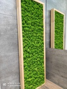 Obraz Mech Chrobotek, Drewniana Rama BOX 