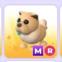 Adopt me! Chow-chow MEGA R (exotic!)