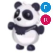 Giant Panda Adopt Me AM