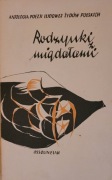 Jerzy Ficowski Rodzynki z migdałami. Antologia poezji Żydów polskich. 