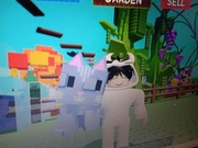 Sprzedam pety w grow a garden [moon cat]