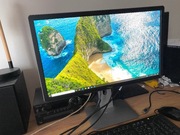 Monitor LED Dell 24 P2414HB 1920 x 1080 px + kabel HDMI w zestawie