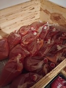 Sok tłoczony z wiśni 