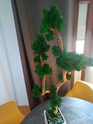 Drzewko szczęścia Chrobotek 