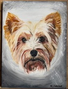 Obraz olejny ręcznie malowany York, Yorkshire terrier, 30x40