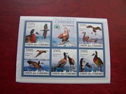 Komory 2009 MNH Fauna Ptaki
