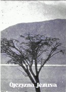 Ks. Mariusz Wolniewicz, Ojczyzna Jezusa