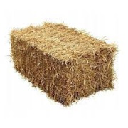 Słoma owsiana kostki kostka ekologiczna zbiór 2025 kąpiele ze słomy