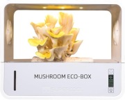 Crownow Zestaw do uprawy grzybów Grow Box z kontrolerem