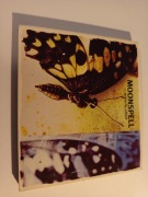 Moonspell – The Butterfly Effect DIGIPAK