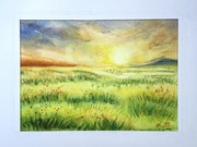 Dzikie pola o zachodzie słońca Original Akwarela A4