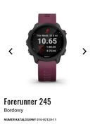 Zegarek Garmin Forerunner 245