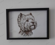 West Highland White Terrier