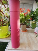 DYPLOM nadania  TYTUŁU HONORIS CAUSA  z 1983r.