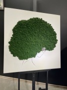 Obraz na blejtram z chrobotkiem 80x80