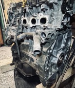 Silnik Nissan Altima (L33) X-Trail , 2,5 