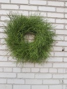 Wianek  wieniec z jagodziny